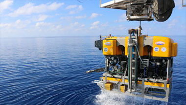 ROV Umbilical Cable Types: A Complete Engineering Guide