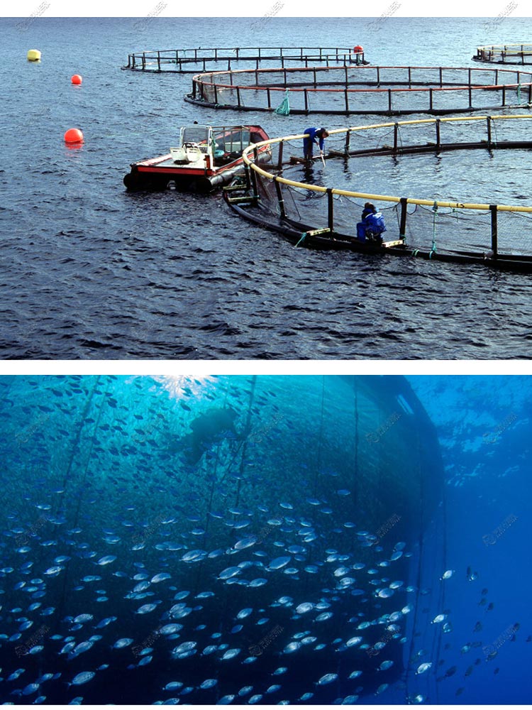 SUBMARINE CABLES FOR THE FISH FARMING MARKET