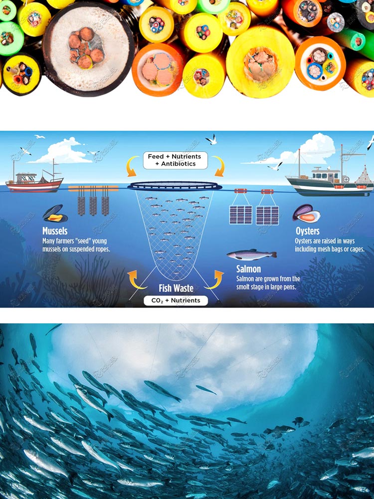 SUBMARINE CABLES FOR THE FISH FARMING MARKET