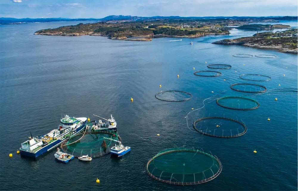 Aquaculture industry 