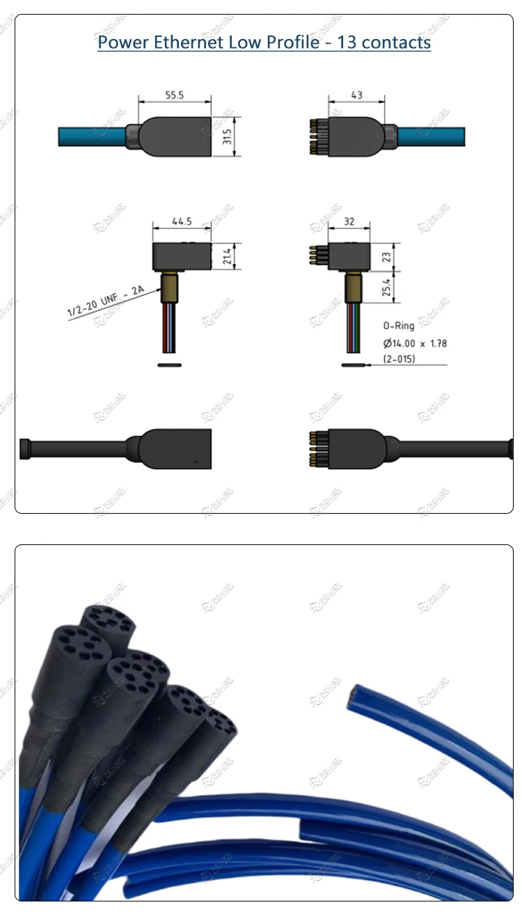 DBH8F 8-Pin Subsea Ethernet Connector — Bulkhead Female, 300 Bar, Gigabit Ethern